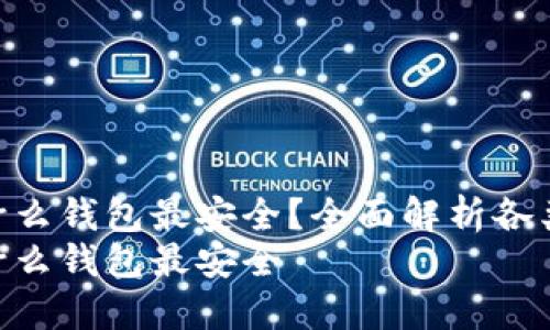 数字加密货币用什么钱包最安全？全面解析各类加密货币钱包  
数字加密货币用什么钱包最安全