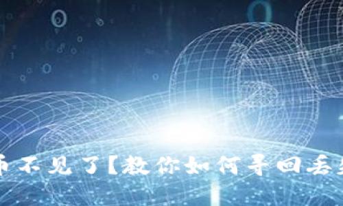 钱包的加密币不见了?教你如何寻回丢失的数字资产