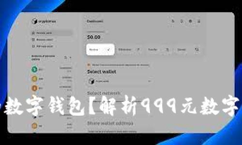 如何选择最适合的数字钱包?解析999元数字钱包的特点与优势