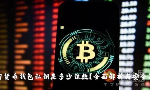 加密货币钱包私钥是多少位数?全面解析与安全策略