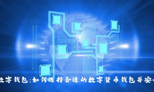 : DY数字钱包：如何选择合适的数字货币钱包并安全使用