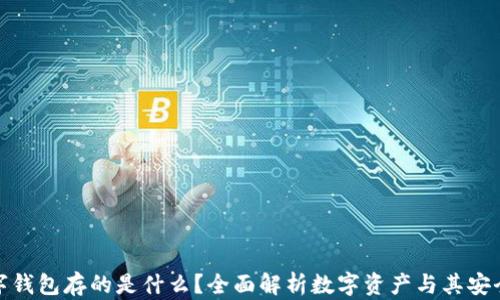 
数字钱包存的是什么？全面解析数字资产与其安全性
