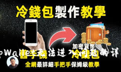 解决tpWallet无法进入问题的详细指南