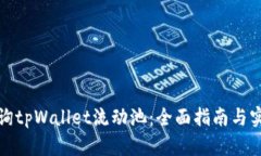 如何查询tpWallet流动池：全面指南与实用技巧