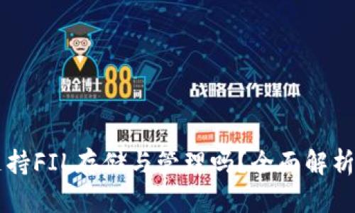 tpWallet支持FIL存储与管理吗？全面解析与使用指南