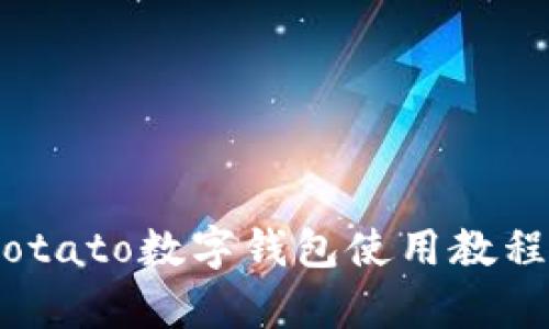 全面解析：Potato数字钱包使用教程与实用技巧
