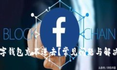 为什么数字钱包充不进去？常见问题与解决方法
