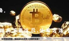   如何安全下载和使用Bit钱包：全面指南 /  guan