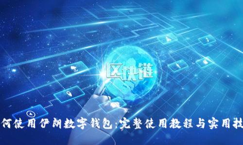 如何使用伊朗数字钱包：完整使用教程与实用技巧