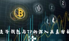 麦子钱包与TP的深入关系分析