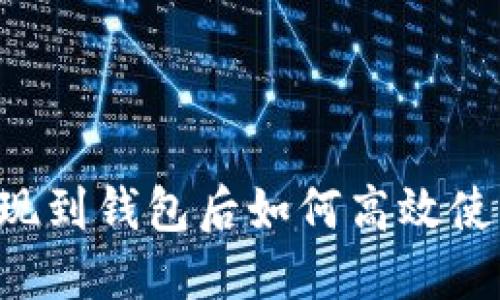 加密货币提现到钱包后如何高效使用：全面指南