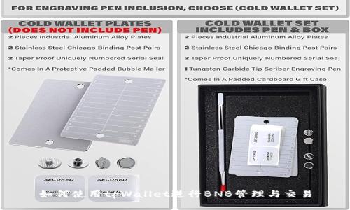 如何使用tpWallet进行BNB管理与交易