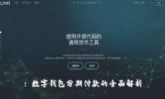 : 数字钱包分期付款的全面解析