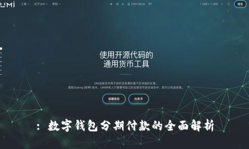 : 数字钱包分期付款的全面解析