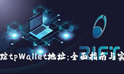 如何追踪tpWallet地址：全面指南与实用技巧