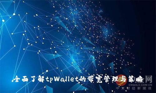 全面了解tpWallet的带宽管理与策略