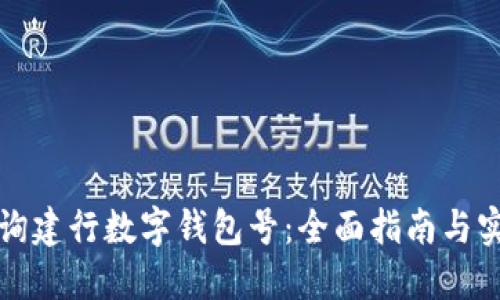 如何查询建行数字钱包号：全面指南与实用技巧