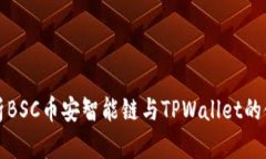 全面解析BSC币安智能链与TPWallet的使用指南