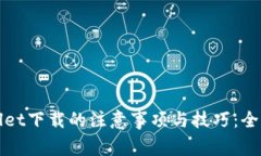 tpWallet下载的注意事项与技巧：全面解析