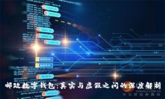 邮政数字钱包：真实与虚假之间的深度解析
