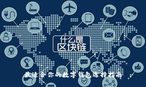 最适合你的数字钱包选择指南