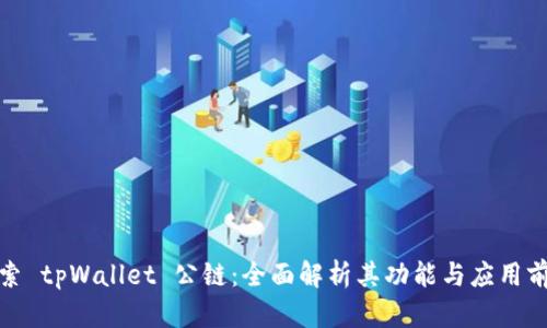 探索 tpWallet 公链：全面解析其功能与应用前景