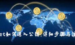 tpWallet如何进入公链：详细步骤与注意事项