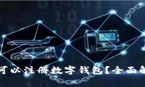 哪些城市可以注册数字钱包？全面解析与推荐