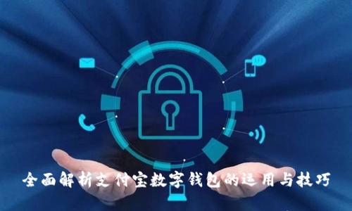 全面解析支付宝数字钱包的运用与技巧