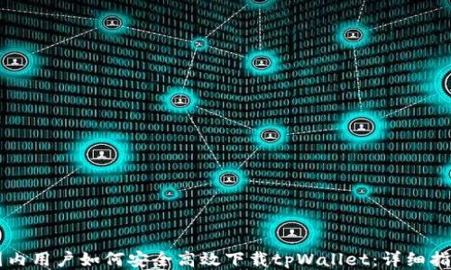 
国内用户如何安全高效下载tpWallet：详细指南