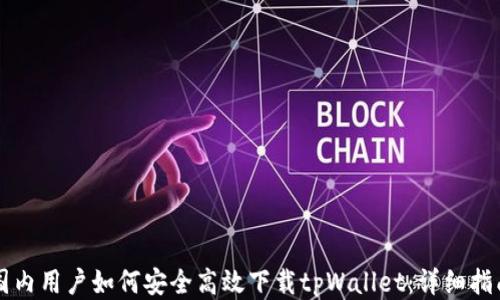 国内用户如何安全高效下载tpWallet:详细指南