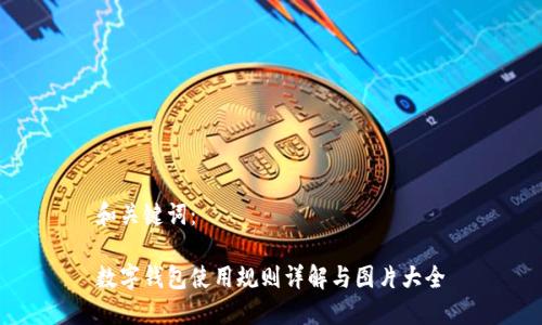 和关键词：

数字钱包使用规则详解与图片大全