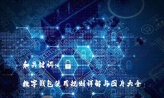 和关键词：数字钱包使用规则详解与图片大全