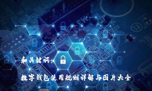 和关键词：

数字钱包使用规则详解与图片大全