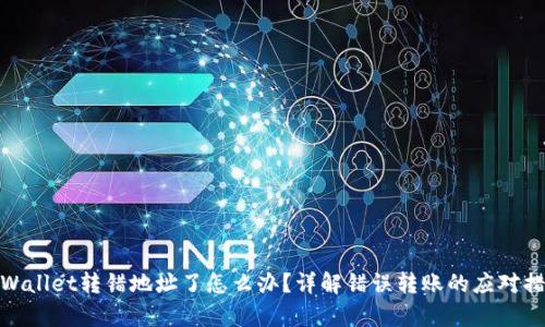 tpWallet转错地址了怎么办？详解错误转账的应对措施