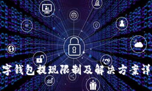 数字钱包提现限制及解决方案详解