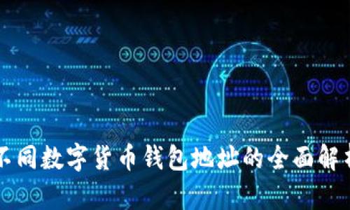 不同数字货币钱包地址的全面解析