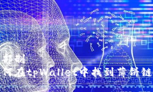 两部制
如何在tpWallet中找到薄饼链接