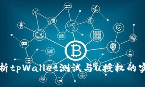 全面解析tpWallet测试与u授权的实用指南