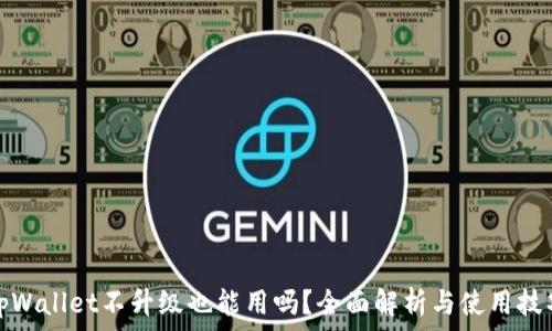 
tpWallet不升级也能用吗？全面解析与使用技巧